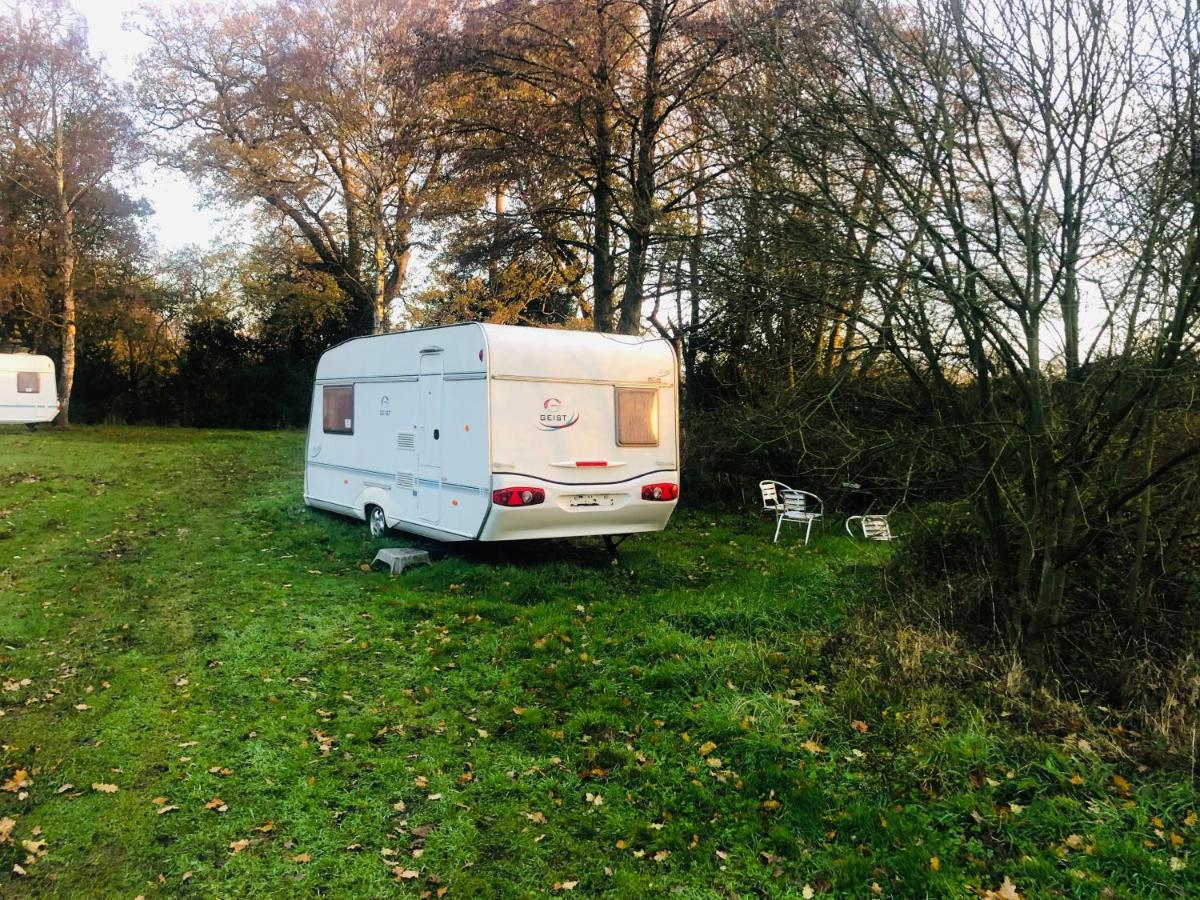 Fair Acre 5